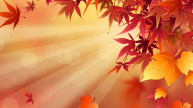 Cute:9c0pqtepvsq= Fall Backgrounds