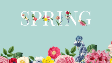 Aesthetic:5g3ytbqgd14= Spring Wallpaper