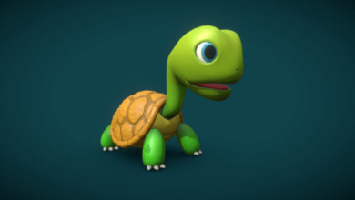 Animated:_Zl07igktus= Turtle