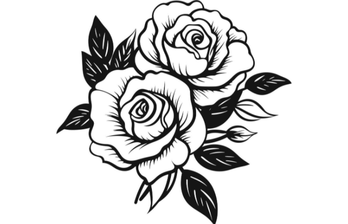 Outline:5lvuzffno7u= Rose Drawings