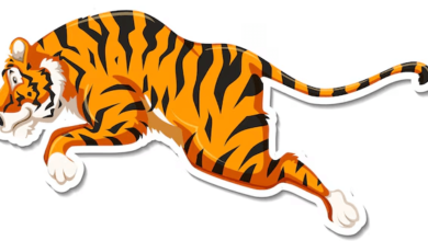 Outline:5jcfy_K8cic= Tiger Clipart