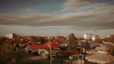 dataset overview for ids