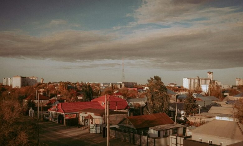 dataset overview for ids