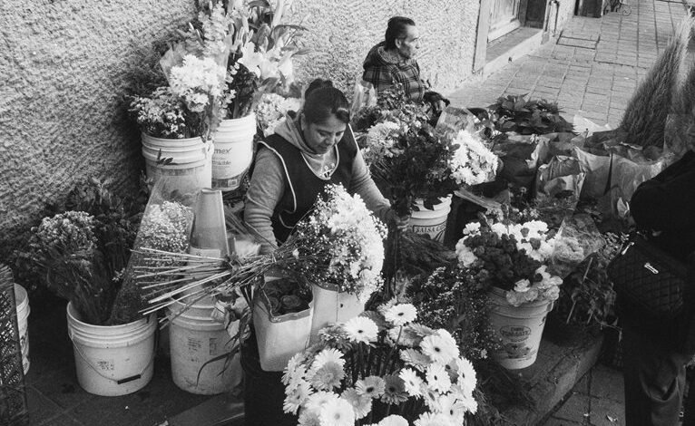 institutional market intelligence overview