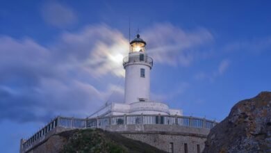 signal stability analysis report