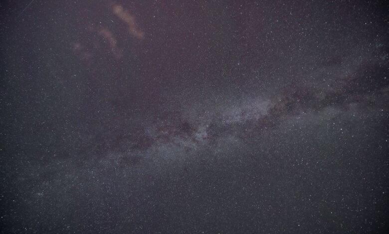 amplify conversions with insight