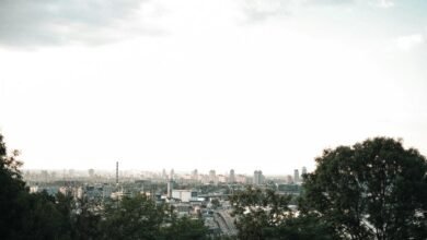 digital growth strategy unleashed