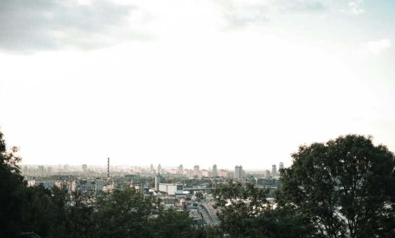 digital growth strategy unleashed