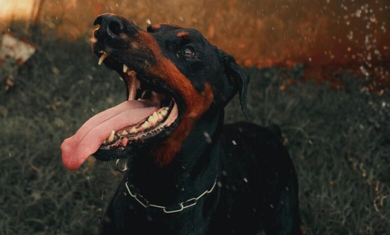 digital tracking activity summary