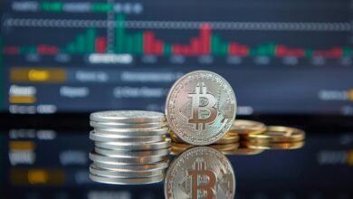 market growth and development