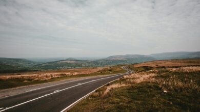 strengthen online horizon beacon