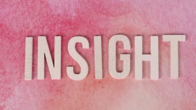 caller insight hub reveals verified phone trace data