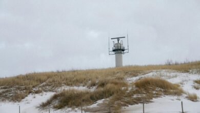 signal radar start reveal phone signals