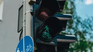 signal vision start 866 233 2148 trusted caller insights