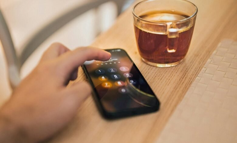 digital record inspection details phone ip code