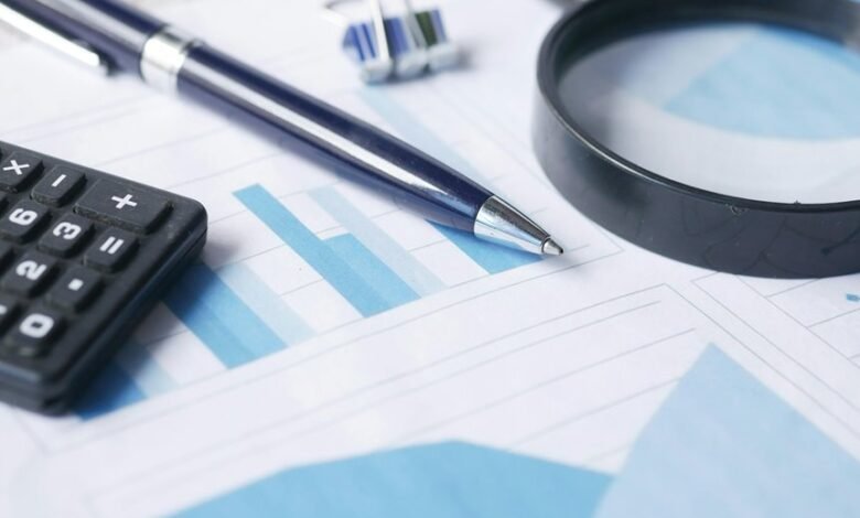 final data audit report details