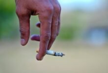 is finnowizvaz harmful