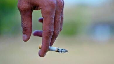 is finnowizvaz harmful