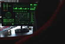 network and device scan details dazeeha xotros boxer