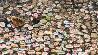 query reveals mysterious aliases and locations