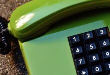 access public numeric profiles