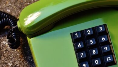 access public numeric profiles