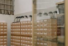 archive numbers with detailed review notes