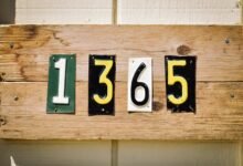 invalid ipv4 address format described