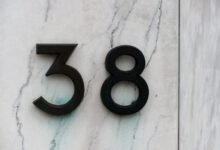 number registry insights reveal numeric identifiers