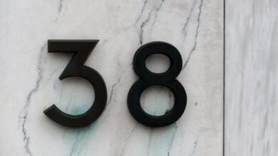 number registry insights reveal numeric identifiers