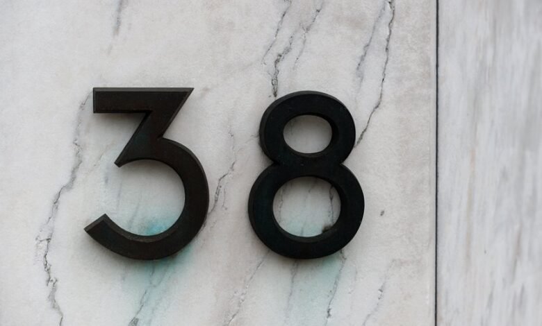 number registry insights reveal numeric identifiers