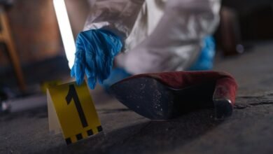 numbers and registry evidence identifiers