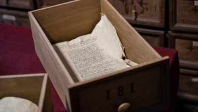 observe specific number records history