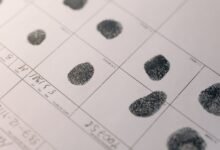 official number references list details