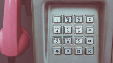 phone number lookup request details