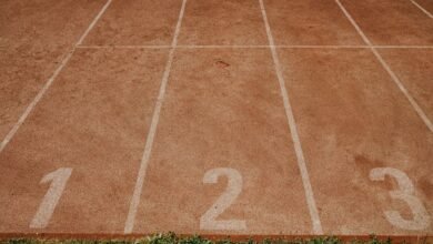 phone number tracking records list