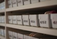 phone numbers list and ids