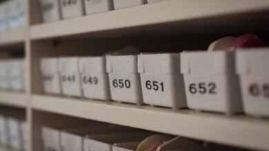 phone numbers list and ids