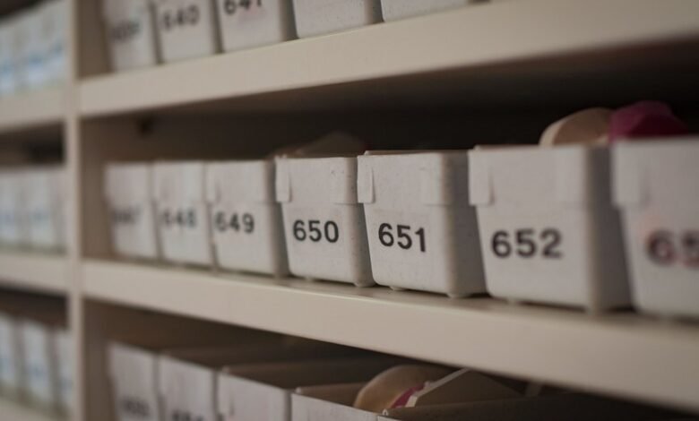 phone numbers list and ids