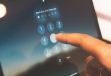 phone numbers observed for lookups