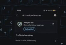 phone verification numbers list