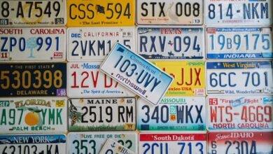 registration numbers browse history