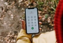 verified numbers and reports list